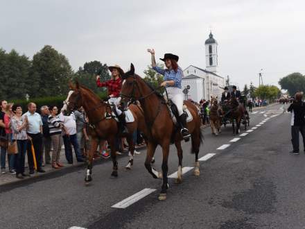 Dożynki Gmina Strumień 2018